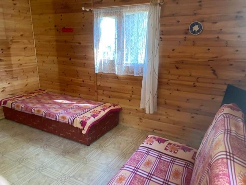 Domki Szumi Las ميجيجنو المظهر الخارجي الصورة