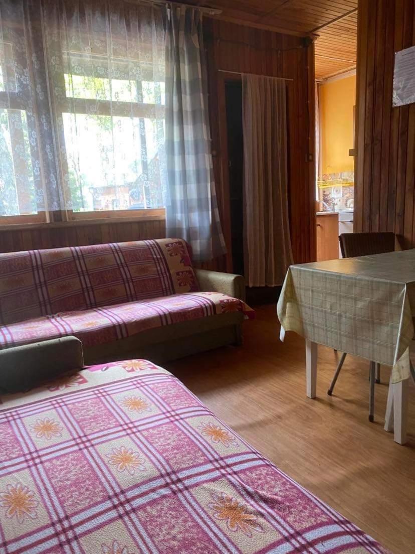 Domki Szumi Las ميجيجنو المظهر الخارجي الصورة